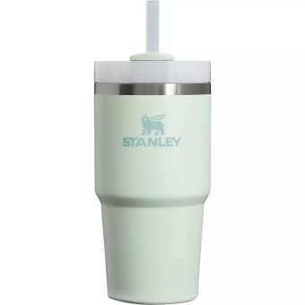 Stanley Le Gobelet Quencher H2.0 Flowstate™ - 20 Oz en Brume