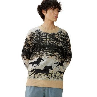 Kuwalla Pull en tricot Jacquard en Étalon sauvage