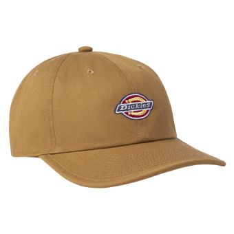 Casquette de baseball Dickies Low Pro Logo en Canard brun