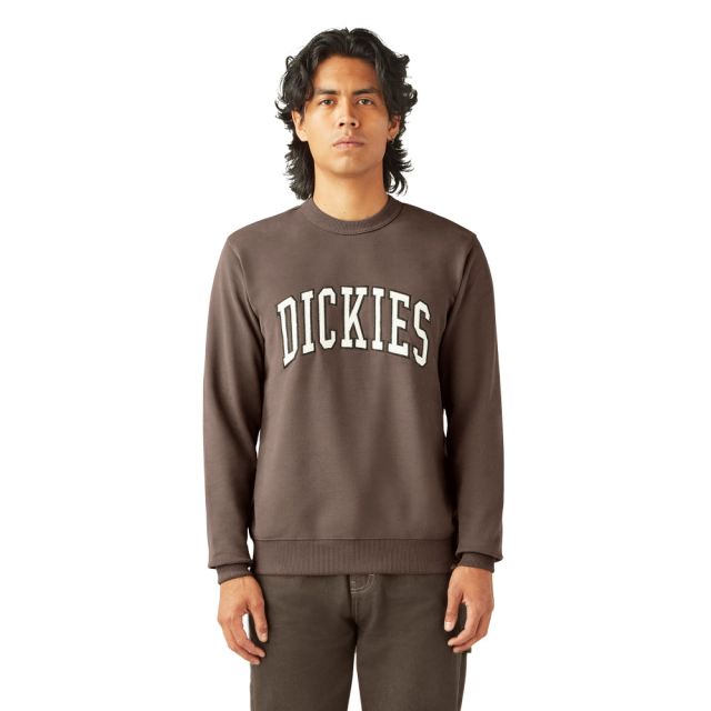 Dickies Sweatshirt Aitkin en Champignon/Nuage